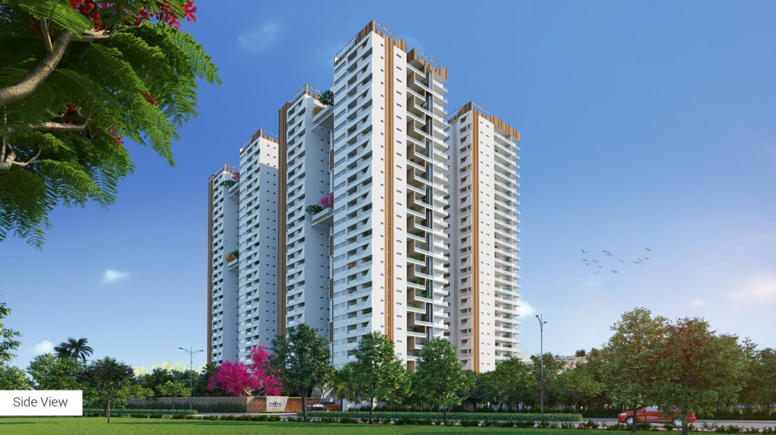 video image
