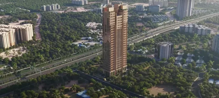 video image